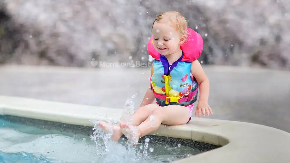 Photo of the Airhead Treasure Life Vest