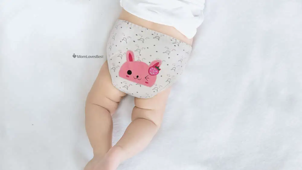 Photo of the Babyfriend Reusable Toilet Training Pants