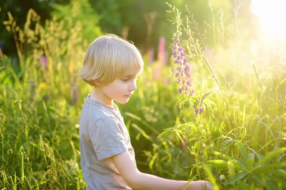 Cute little boy picking flowers in the field.