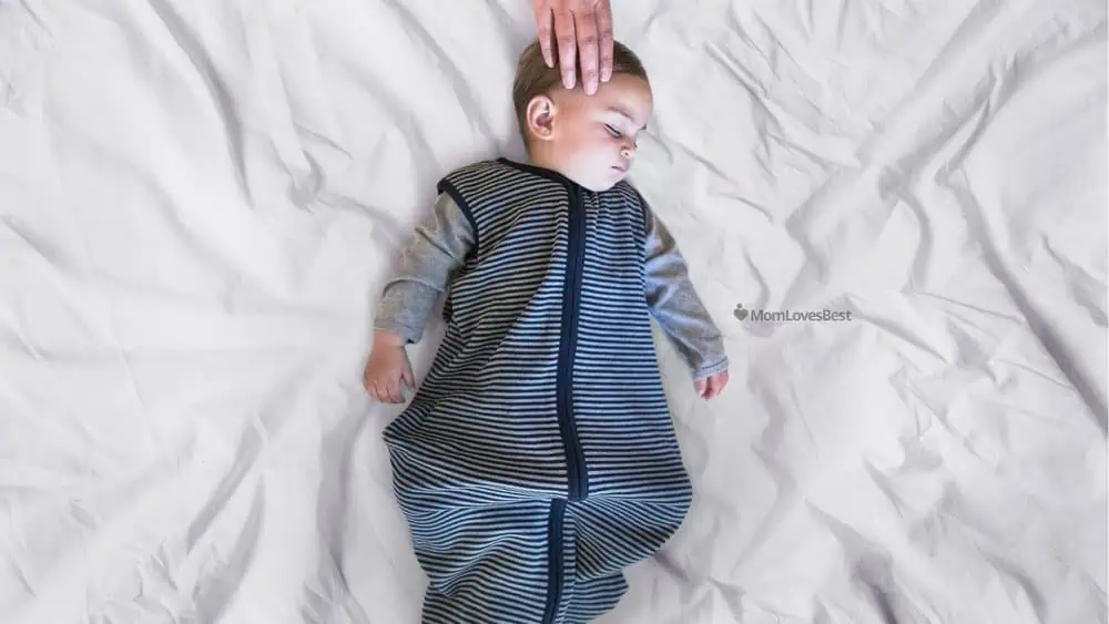 Photo of the Burt's Bees Wearable Blanket Sleep Sack