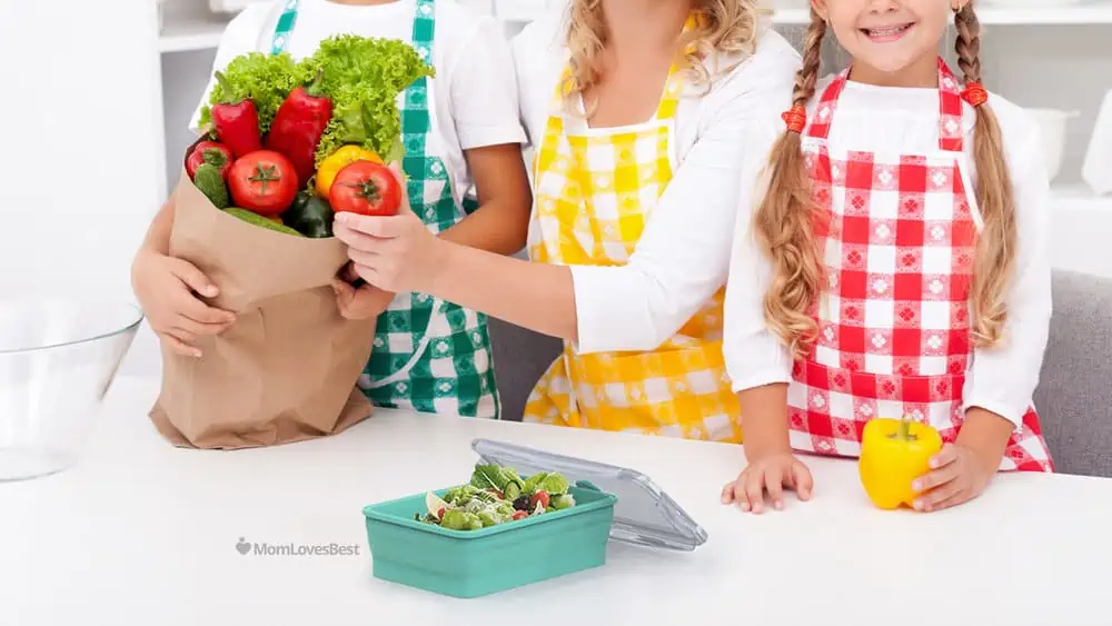 Photo of the Collapsible Silicone Food Storage Containers