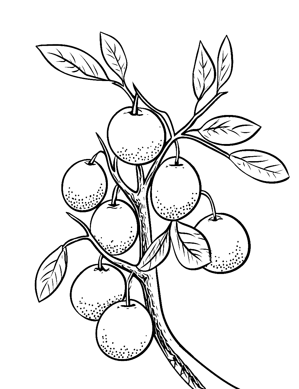 Lime Light Fruit Coloring Page - Limes on a tree.