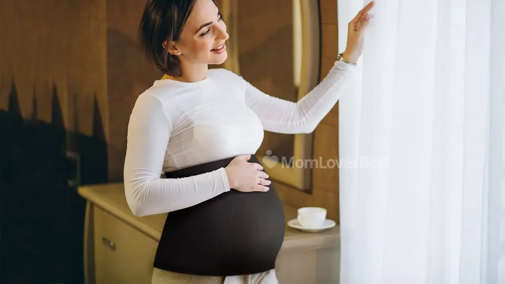 Photo of the Ingrid & Isabel Bellaband Maternity Belly Band