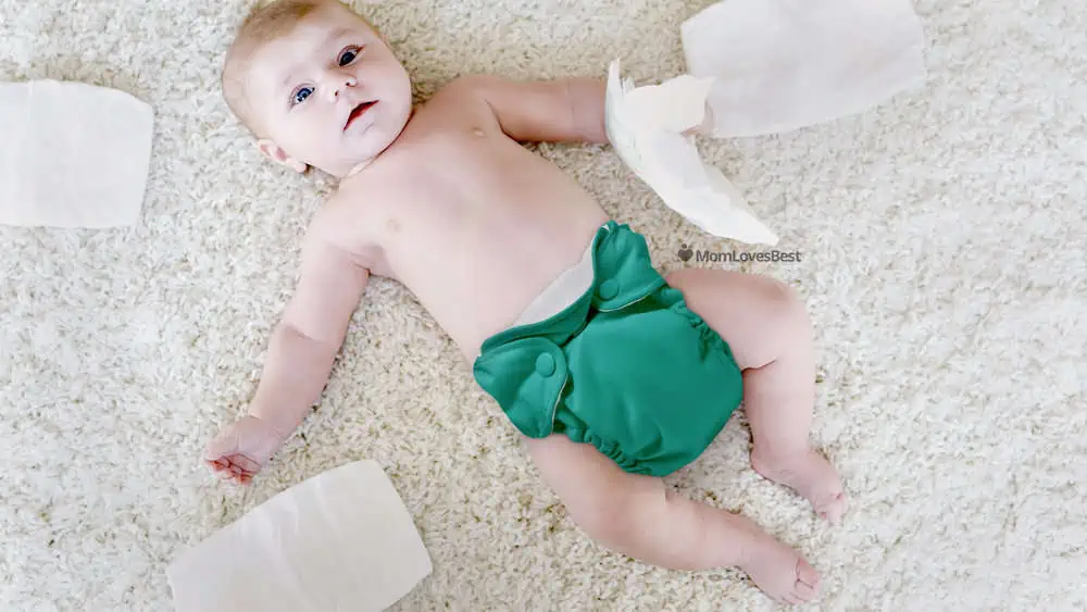 Photo of the Kanga Care AIO Cloth Diapers