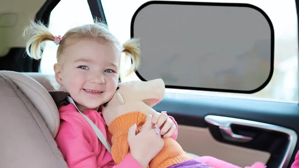 Photo of the Kinder Fluff Car Sun Shade