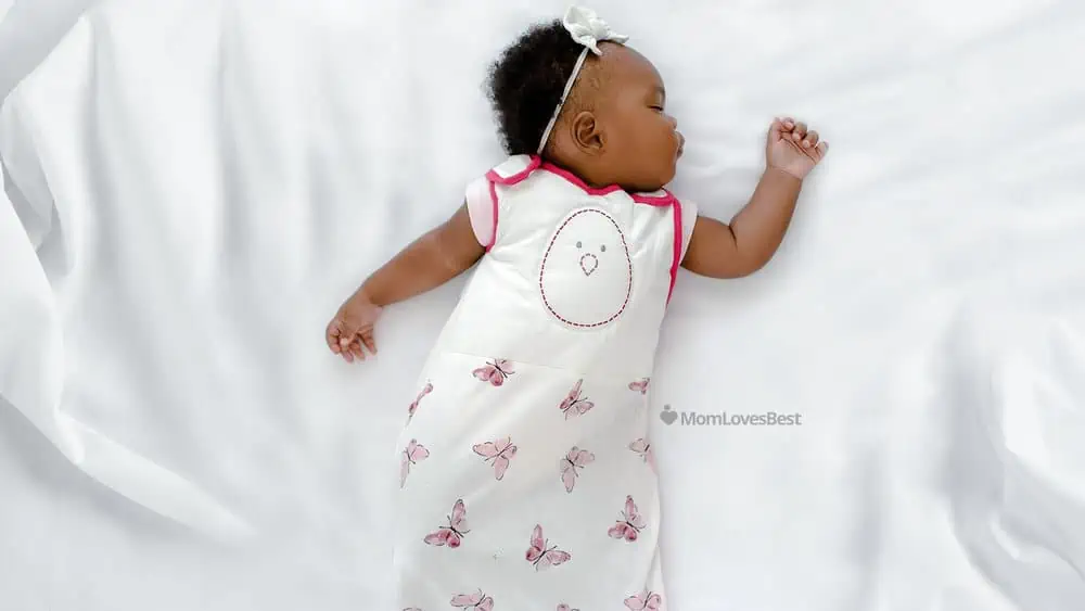 Photo of the Nested Bean Zen Premier Sleep Sack