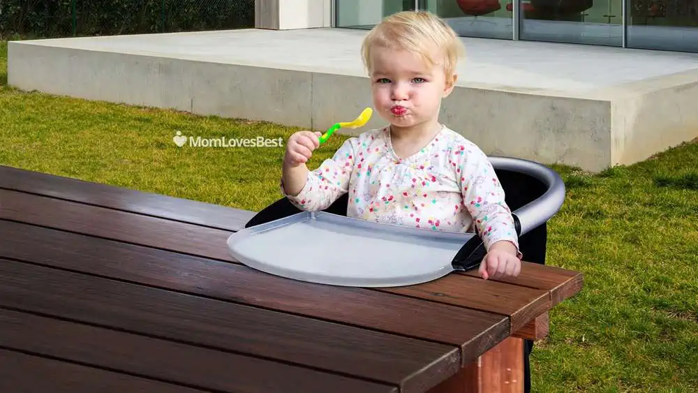 Photo of the Phil & Teds Lobster Hook-On High Chair