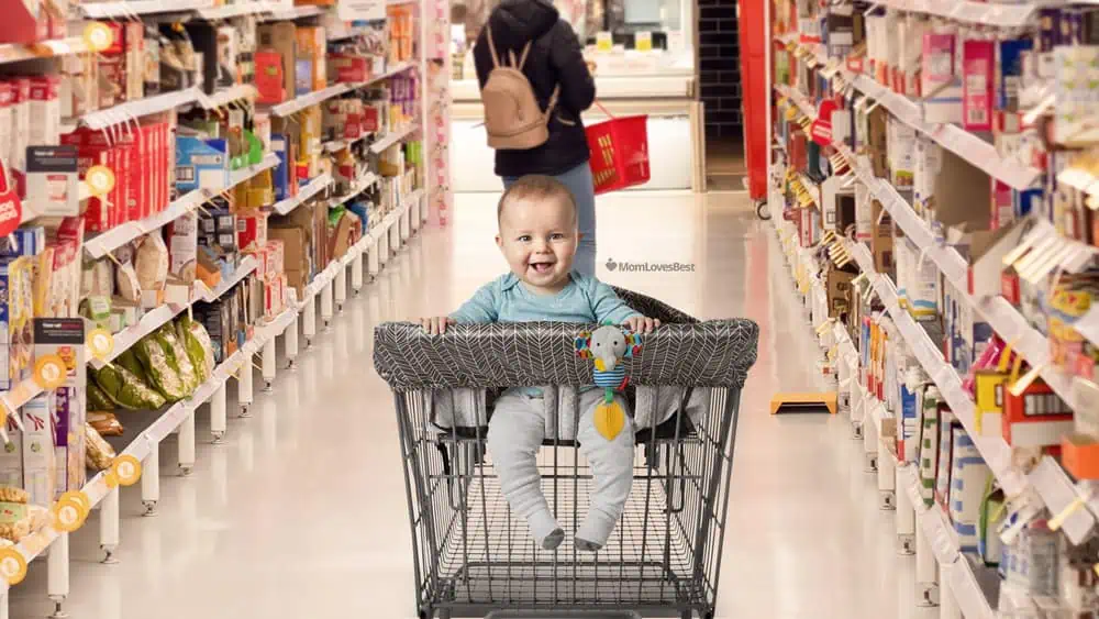 Photo of the Skip Hop Compact 2-in-1 Shopping Cart Cover