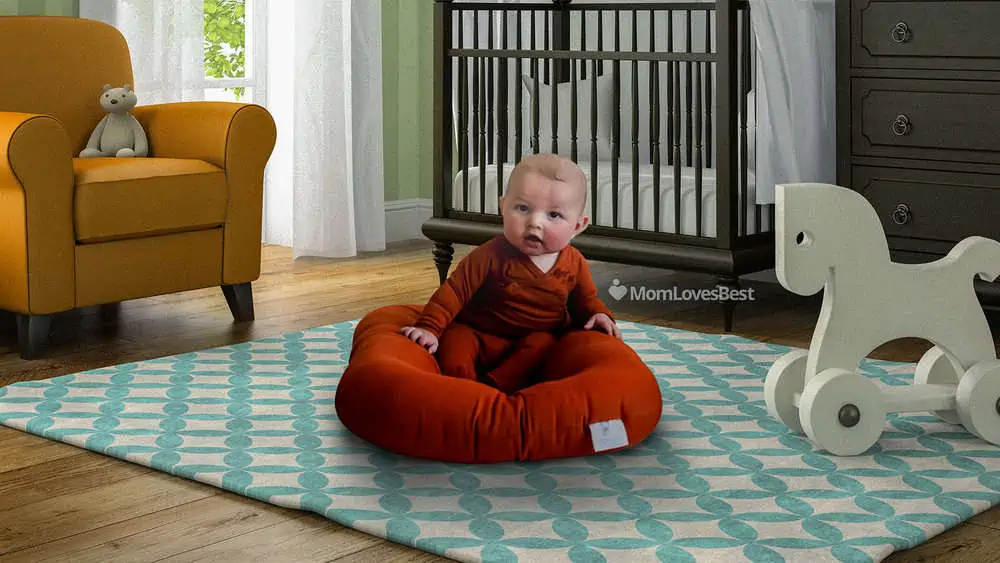 Photo of the Snuggle Me Organic Co-Sleeper