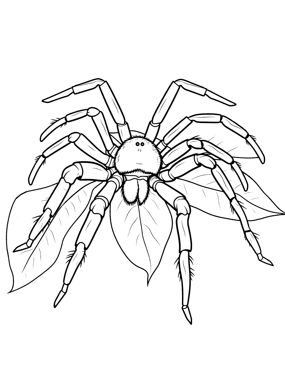 Tarantula on a Leaf Spider Coloring Page - A large, furry tarantula sitting calmly on a leaf.