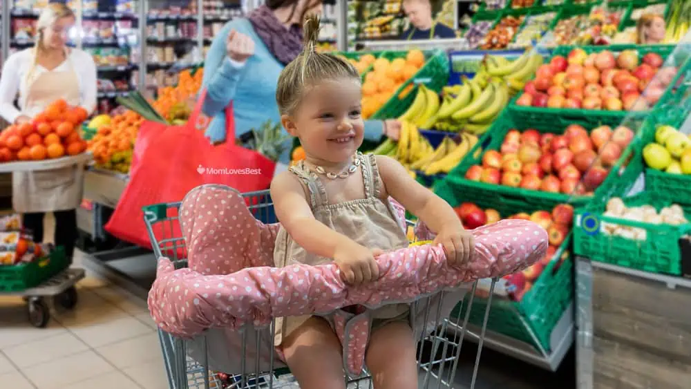 Photo of the Suessie 2-in-1 Shopping Cart Cover