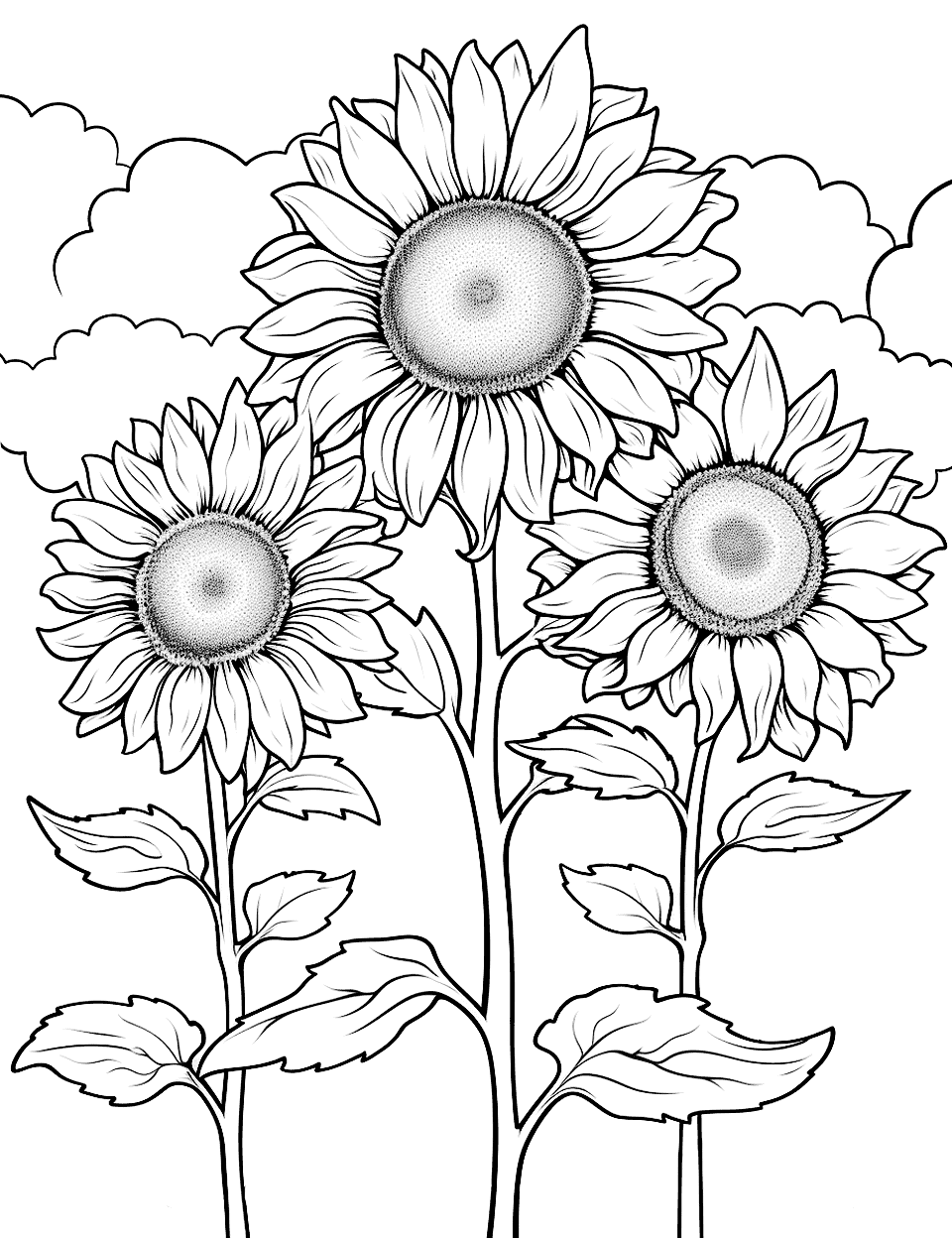 Sunflowers and Clouds Sunflower Coloring Page - Several sunflowers with fluffy clouds in the sky above.