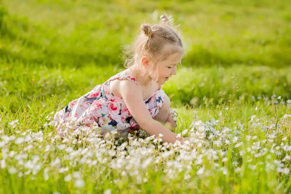 Adorable little girl in summer dress with pigtails in green field with flowers